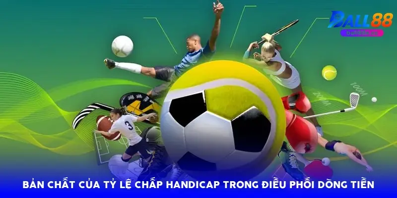 Bản chất của tỷ lệ chấp handicap trong điều phối dòng tiền Bản chất của tỷ lệ chấp handicap trong điều phối dòng tiền